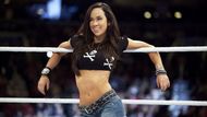 AJ Lee deserves to be part of the show
